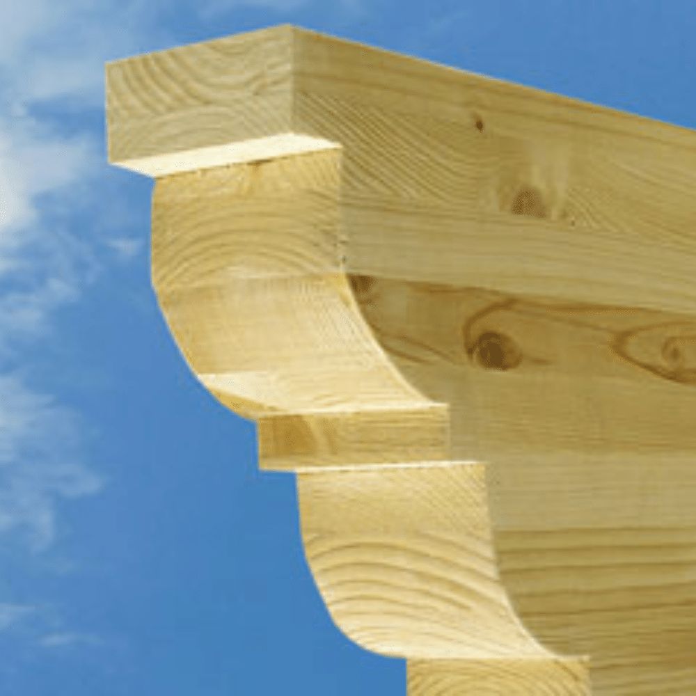 Koralan® Hirnholzschutz (Protezione per Assi di testa) (7)