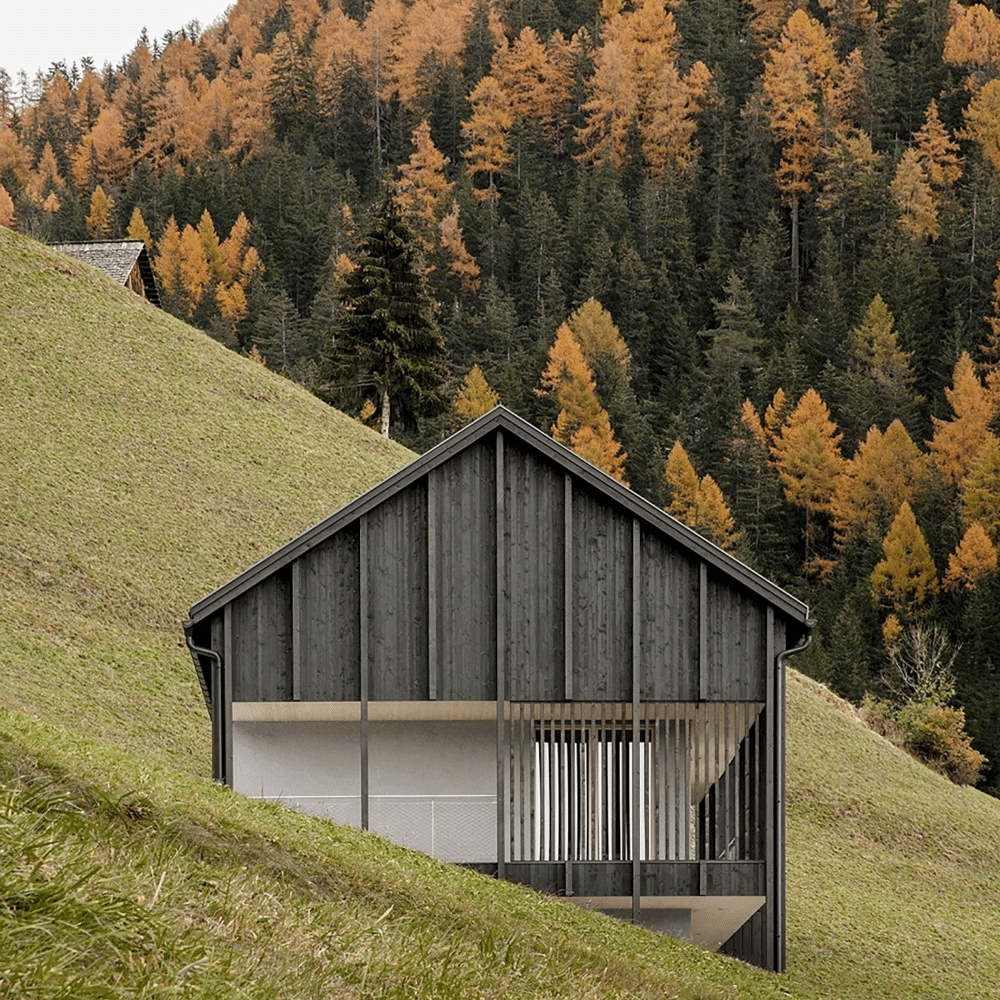 Olio Speciale Per Legno Koralan:Svitavvita (17)