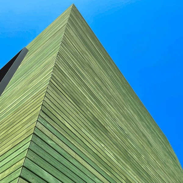 Colore Verde sale