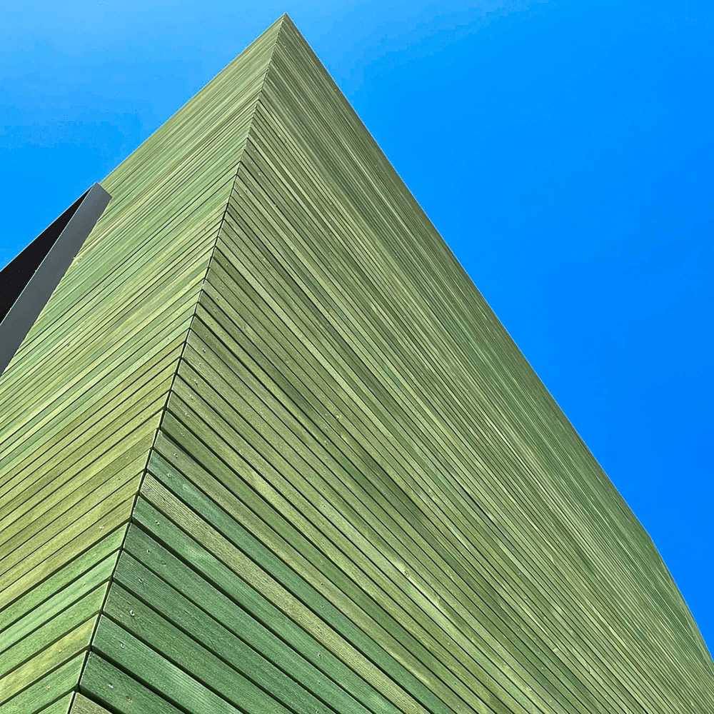 Olio Speciale Per Legno Koralan:Svitavvita (19)