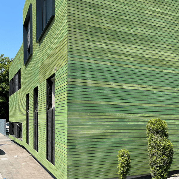Colore Verde sale