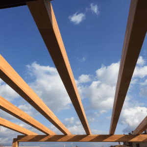 Foto illustrativa del Legno di Larice