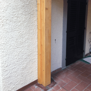Foto illustrativa del Legno di Larice