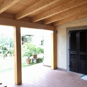 Foto illustrativa del Legno di Larice