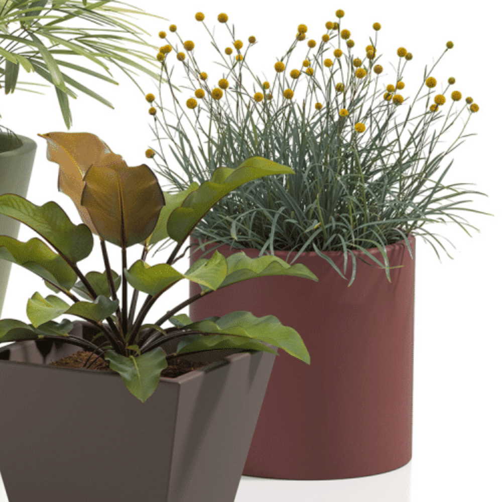 Vaso Loto Pot cilindro