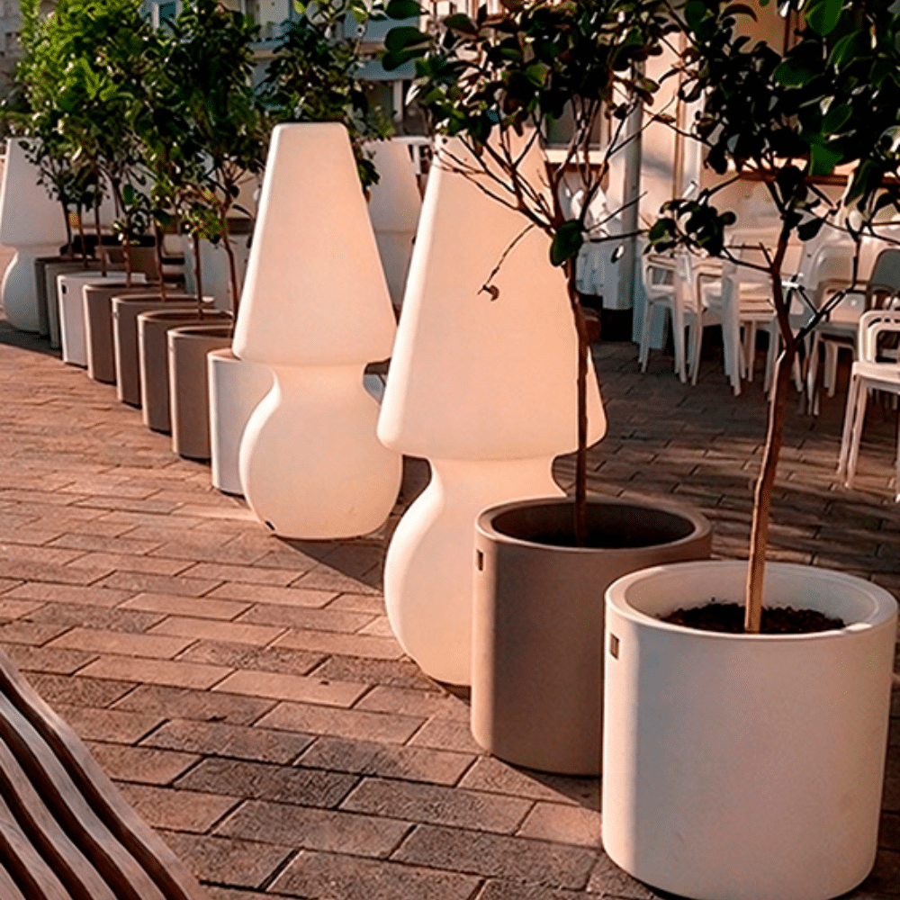 Vaso Loto Pot cilindro